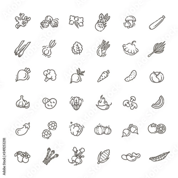 Fototapeta Basic vegetables thin line icon set