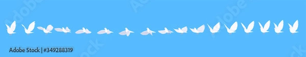 Fototapeta Full cycle animation of the dove.  White pigeon flight sequences.