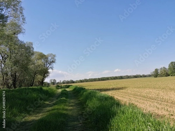 Fototapeta Fieldpath and riding-route  by riverland