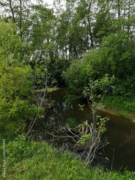 Fototapeta River  LAFNITZ