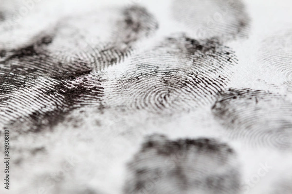 Obraz fingerprints on a white background