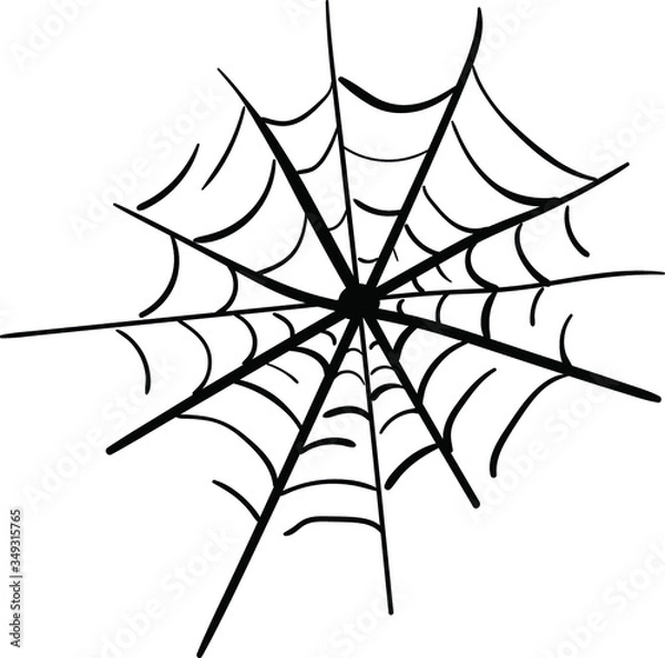 Fototapeta Spider web. Vector black and white illustration. Sketch on white background
