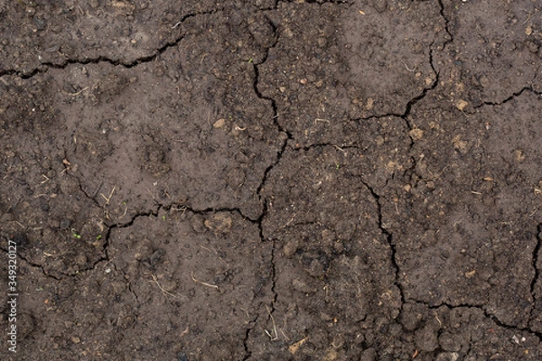 Obraz cracked soil background