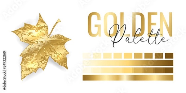 Fototapeta Fashion bright gold metallic color trend. Colour palette with different shades of golden color and gradient. Rich autumn tree leaf on white background. Paint palette mock up. Vector illustration