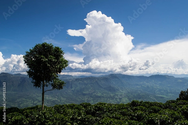 Obraz Fredonia Antioquia