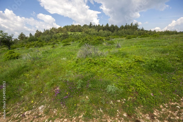 Fototapeta Rhodope Mountains near village of Dobrostan, Bulgaria