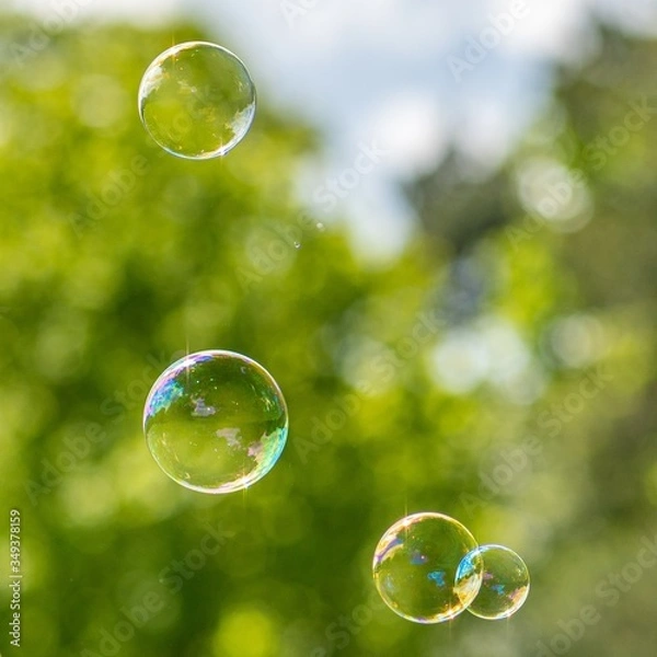 Obraz soap bubbles on green background