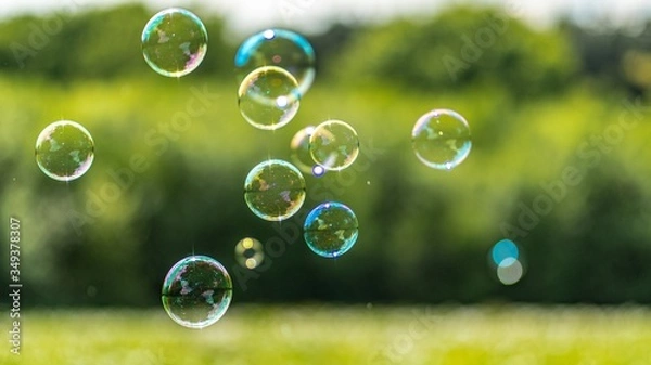 Fototapeta soap bubbles on green grass