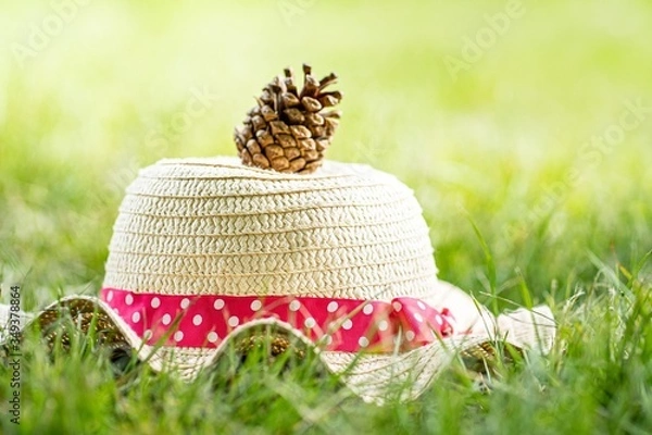 Obraz summer hat on grass