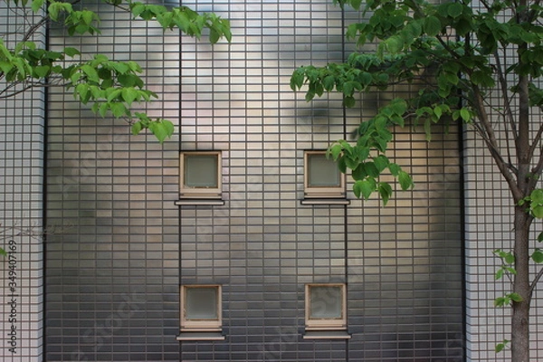 Fototapeta metalic wall and trees