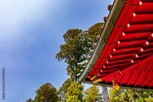 Fototapeta 箱根神社