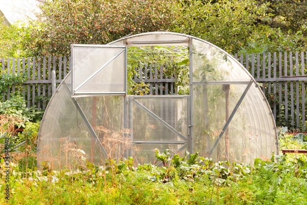 Obraz Greenhouse