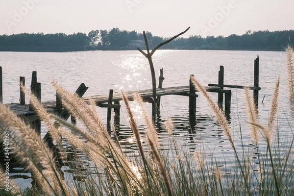 Fototapeta Brown grass flowers isolated from long wood bridge and river background. Long wood bridge in river with sunset.