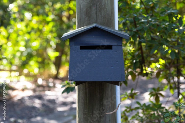 Obraz mailbox on the background of the house