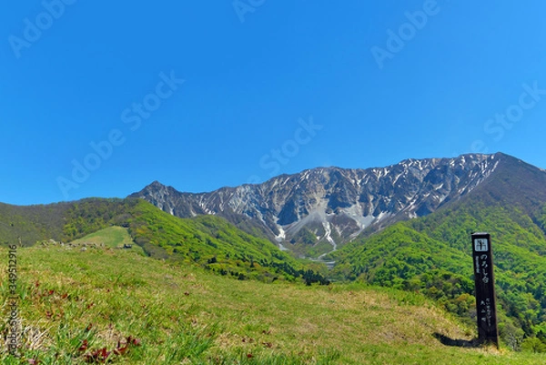 Fototapeta 快晴の空と新緑の山