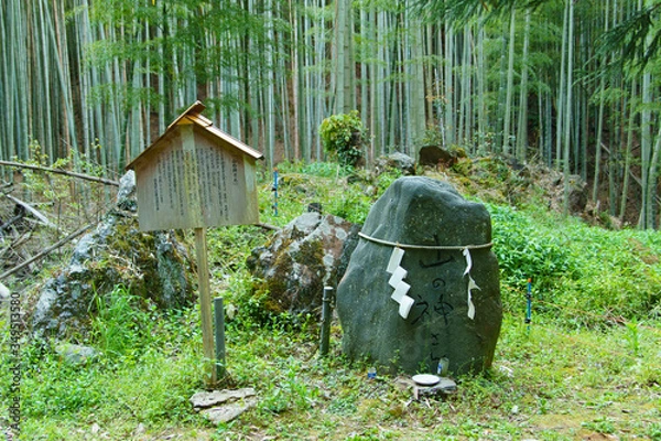 Obraz 山の神さん