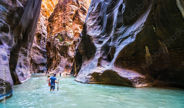 Obraz zion narrow  with  vergin river in Zion National park,Utah,usa.
