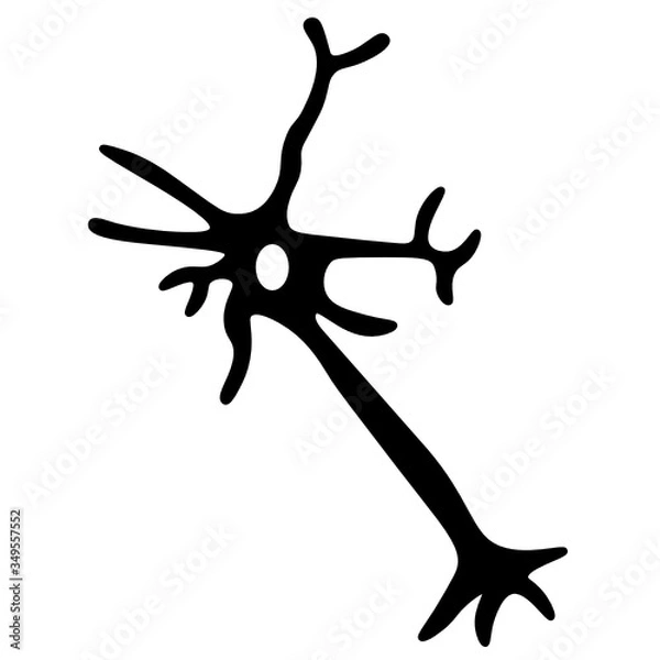 Obraz Neuron