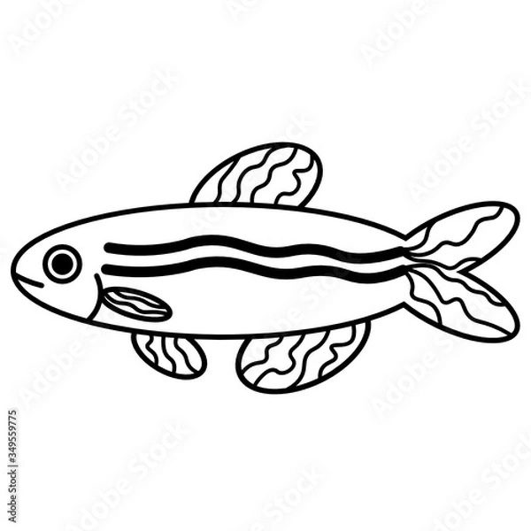 Obraz Fish