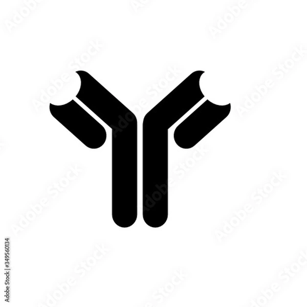 Obraz Antibody