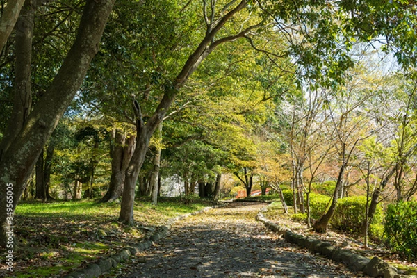 Obraz 八幡様の総本宮春の宇佐神宮【大分県】