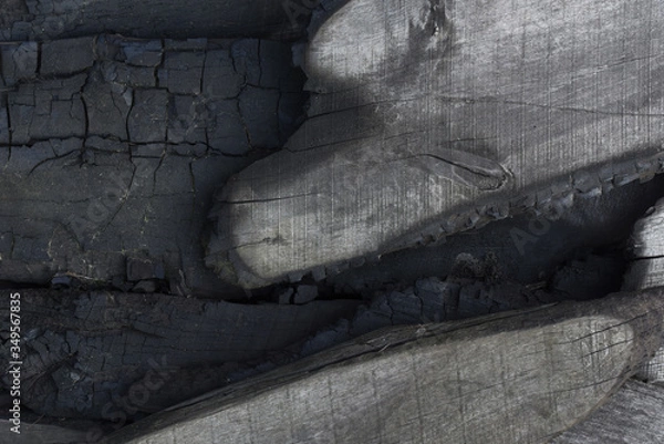 Fototapeta burnt boards. the ashes. close-up, top view.