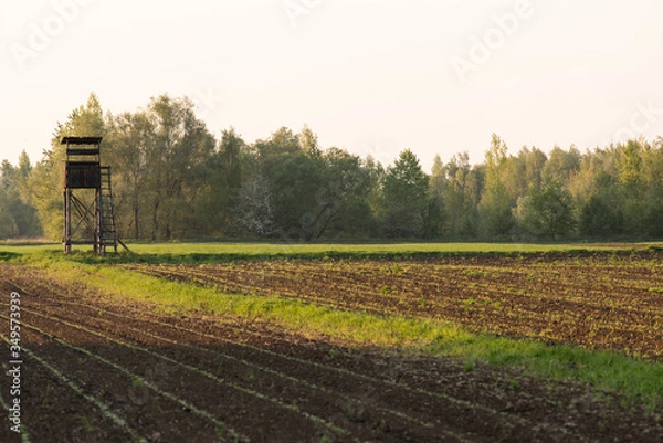 Obraz Ambona myśliwska w polu i lesie 