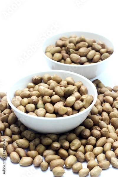 Obraz Peanut