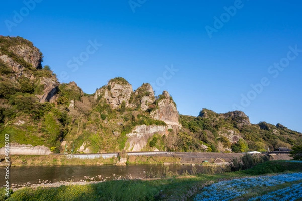 Obraz 耶馬渓に咲くブルーの美しいネモフィラ(大分県)