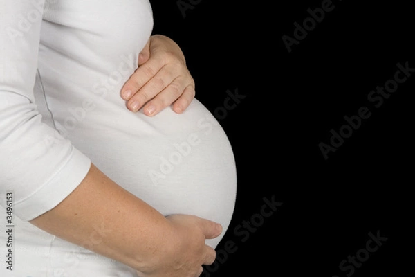 Obraz schwanger