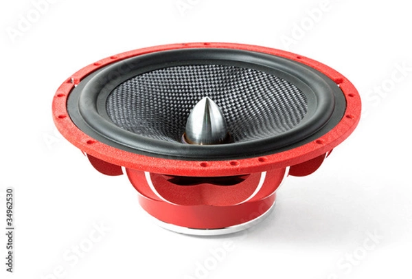 Obraz powerful woofer
