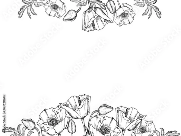 Obraz Pattern of leaves and poppy flowers black and white on a white background. Greeting card. Mourning pattern.