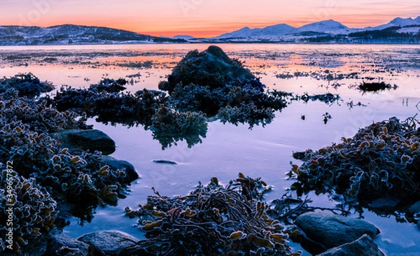 Obraz Polar night at sea