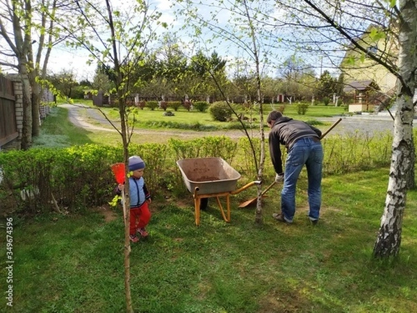 Fototapeta Father and little son work together in a garden with a rakes and a wheelbarrow. family teamwork