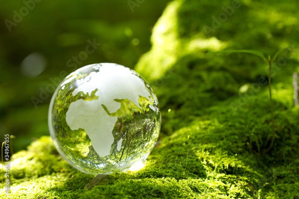 Fototapeta 森、地球儀
