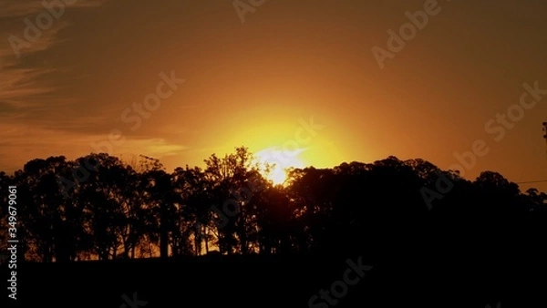 Obraz Atardecer silueta