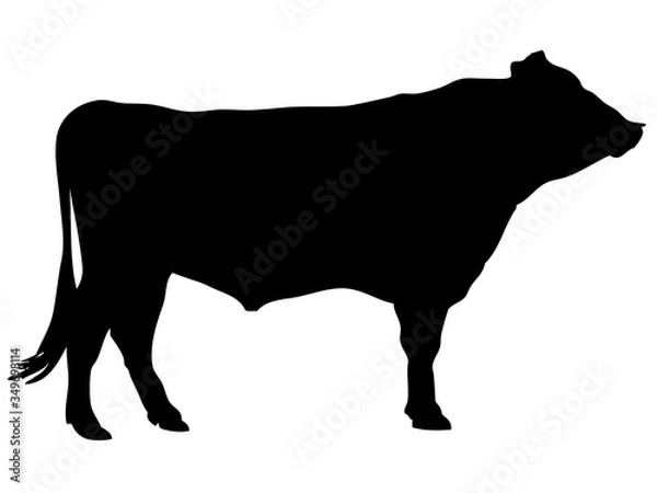 Fototapeta 黒毛和牛シルエット_1