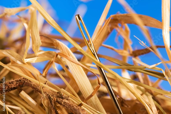 Fototapeta Needle in a haystack