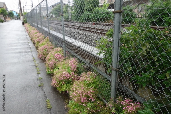 Obraz 雨の日の日本の線路沿いの道