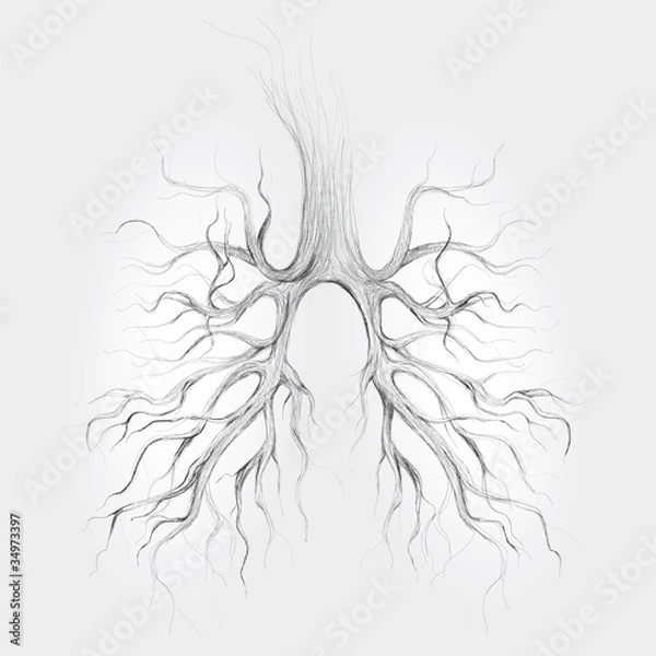 Fototapeta Tree - Lungs of the Earth / realistic sketch