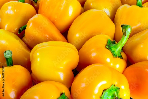 Obraz Yellow bell peppers pattern background