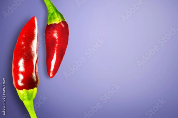 Obraz Two red peppers. Background