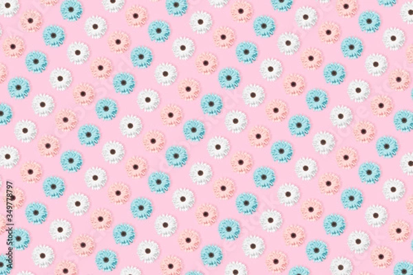 Fototapeta Pink, blue and white Chamomile or gerbera floral pattern.