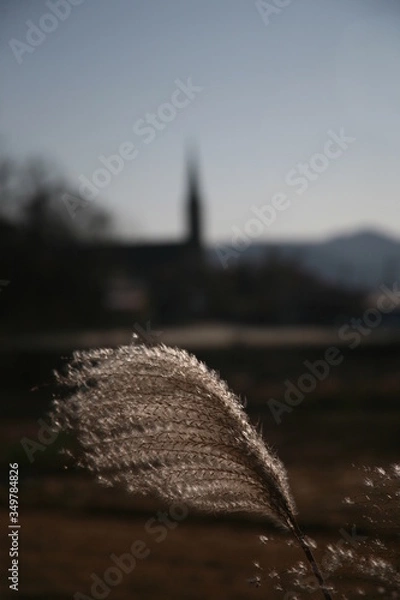 Obraz snow on the roof