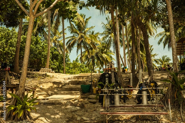 Obraz coconut palm trees