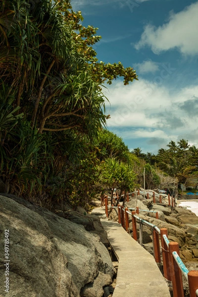 Obraz tropical beach with palm trees