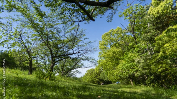 Obraz 大高緑地 自然