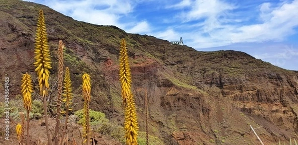Fototapeta Foxtail lily with lighthouse