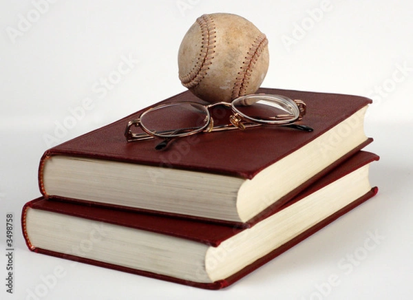 Obraz baseball books