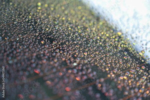 Fototapeta Water droplets on the windscreen after washing the car and abstract and blurred water droplets background